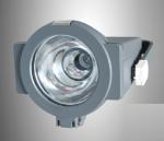Outdoor Flood Lighting Fixtures SXF-014