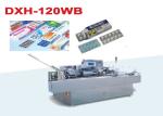 Automatic High Speed Alu Plastic Blister Packaging Machine Line Pharmaceutical