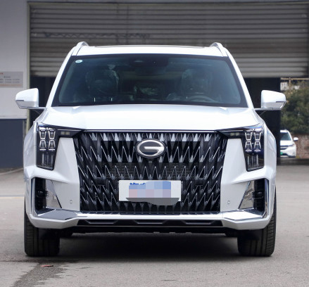Trumpchi GS8 2022 model dual engine series 2.0TM four-wheel drive zungui version (seven seats)