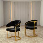 Apartment Luxury Dining Chair With Backrest No Armrest