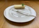 171mm Size Oem Plastic Free 6.7 Inch Cpla Fork