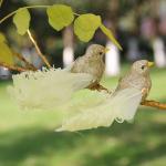 Christmas Festival Party Decoration Feather Bird 10*10 Cm Size And Fast Shipping