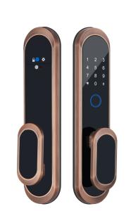 China Fingerprint Cylinder TTlock Smart Lock / Tuya Wifi Smart Lock factory