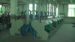 Scroll Dry Type Industrial Dust Collection System , Strong Suction Cyclone Dust