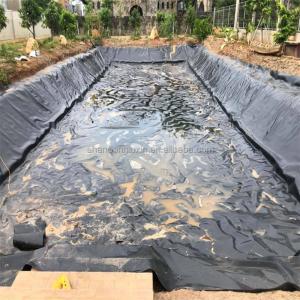 China Industrial Design Style 1.5mm Hdpe Fish Farm Pond Dam Liner Geomembrane for Industrial factory