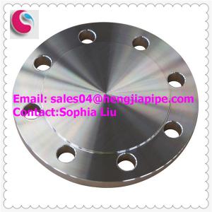 China F316/F316L blind flanges factory
