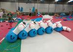 Interesting Giant Inflatable Outdoor Games Inflatable Bouncy Animal Toy