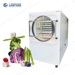 China Lanphan Automatic Large Freeze Dryer 5m2 Freeze Dryer Machine For Meat Fruit Vegetables on sale