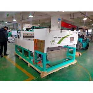 High Accuracy Intelligent WYB4 Belt Garlic Color Sorter Machine with Wifi Remote