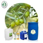 Green Olive Organic Carrier Oils