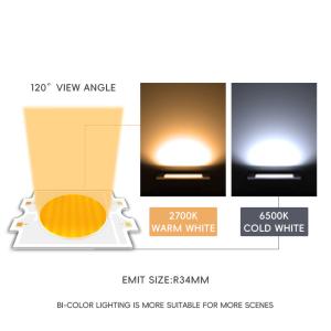 China High Power COB LED Chip 300W+300W Bi Color Led for Photography Lamp factory