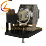 5811100818 NP12LP 60002748 PRO7500DP-930 5J.JAM05.001 TLPLW25 NP4100 Lamp