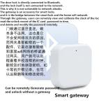 12V Battery Gateway Door Lock Intelligent Bluetooth App Controlled