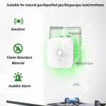 2KW.H Gas Alarm Detector AC90V-265V RV Propane Detector