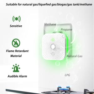 China 2KW.H Gas Alarm Detector AC90V-265V RV Propane Detector factory