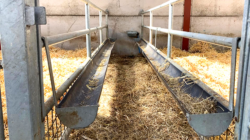 Customized Prefabricated Steel Structure Goat Farming Shed House with Sliding Door