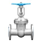 Cast Steel ASTM A216-WCB Rising Stem Flanged Gate Valve Customized Port Size OEM