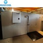 Sliding Door Fish Meat Vegetables Cooler Freezer Chiller Cold Room 220V/380V