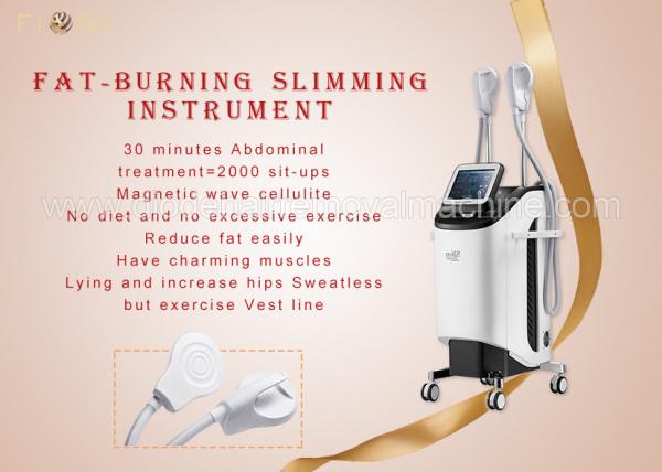 Vertical Style Cryolipolysis Fat Freezing Machine Cryo Slimming Machine 360S