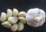 Spicy White Garlic Natural Agricultural Products