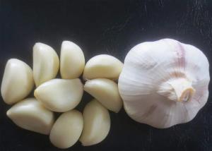 China Spicy White Garlic Natural Agricultural Products factory