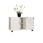 Shutter Door Anti Tilt RAL Color Steel Mobile Pedestals