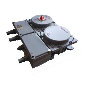 OEM Customized Support Powered by Motor with Lifting Speed 0-30m/min