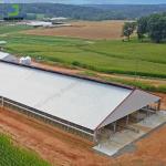 Prefabricated Customized Barn Chicken House Cow Shed Pig Farm One-Stop Service