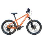 20 Inch Mountain Bike For Kids 7-10 Years Featuring Fork Suspension And Weighing