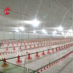 Stainless Steel Floor Type Poultry Farm Equipment Automatic Feeding And Drinking