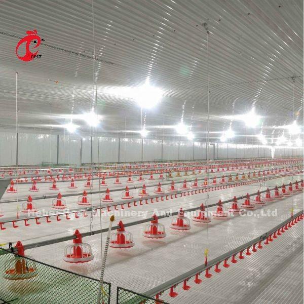 Stainless Steel Floor Type Poultry Farm Equipment Automatic Feeding And Drinking