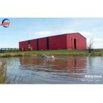 Aluminum Alloy Window Steel Structures for Prefab Poultry Farm Chicken Horse