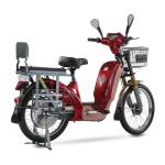 Large Capacity 48V 500W Electric Food Delivery Bike With Front And Rear Drum