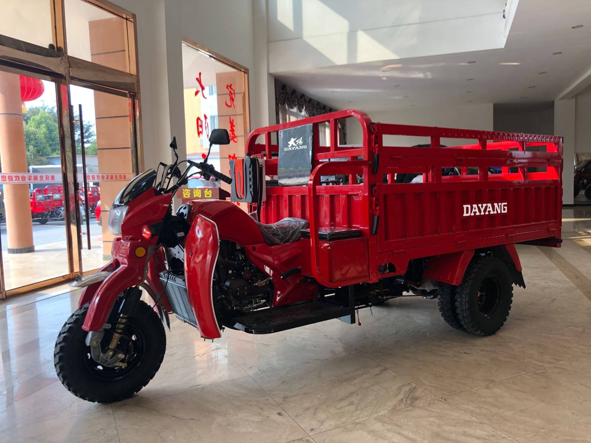 300cc Water Cooled Gasoline Engine Cargo Tricycle with Customized Motor from DAYANG