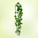 Garden Vine 14mm 210cm House Climbing Metal Plant Stakes Trellis