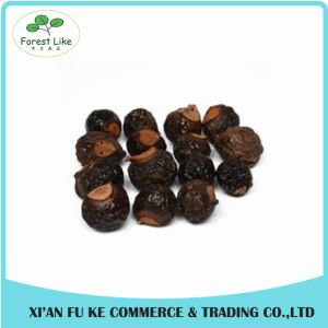 High Quality Reetha / Soapnut Extract Powder