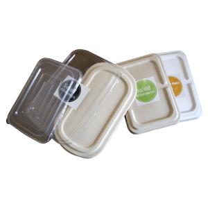 China Custom Bagasse Wheat Paper Pulp Storage Box , Biodegradable Sensory Tray factory