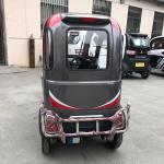 Handle Steering 2 Passengers Mini Electric Tricycle