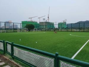 China Football Artificial Grass &amp; Sports Flooring For Football Pitch Price For Wholesale factory
