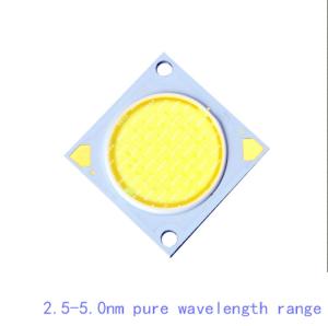 China RoHS 520nm 530nm LED COB Chips 900mA COB LED 30W For LED Tracking Light factory