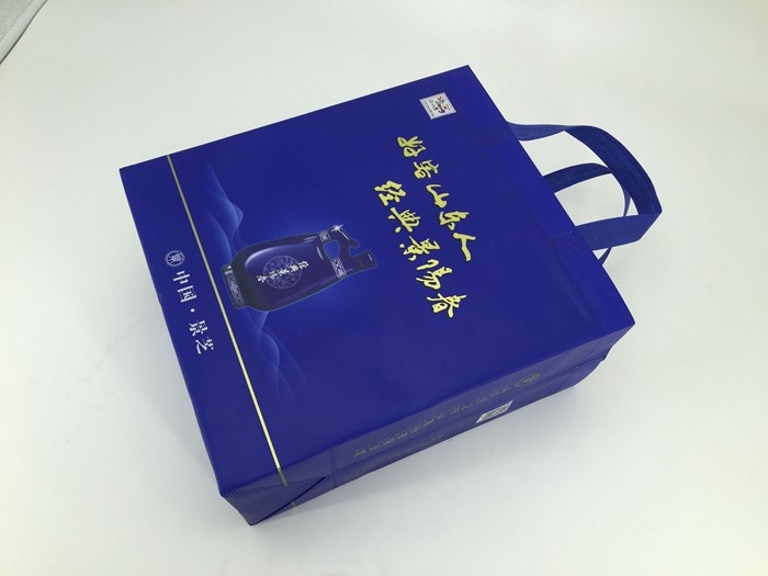 China Factory Promotional Custom Shopping PP Non Woven Bag