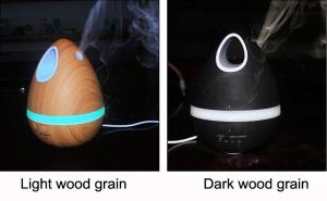 China 200ml USB Cute Creative Egg Mini Charging Mist Humidifier Ultrasonic Air Humidifier factory