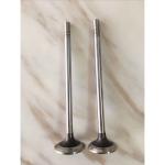 Stainless Steel Diesel Engine Valve CD20T CD20 CD17 Intake & Exhaust Valve 13201