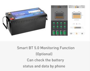 China 12V 200 Ah Lifepo4 Battery 200 Amp Hour Lithium Ion Battery 12volt 200ah Lithium Ion Battery factory