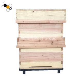 China Multi Sweet Non Toxic Two Levels Fir Bee House Box factory