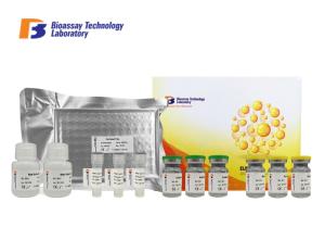 China 1.53ng/L Specificity Canine ELISA Kits Vasoactive Intestinal Peptide VIP ELISA factory