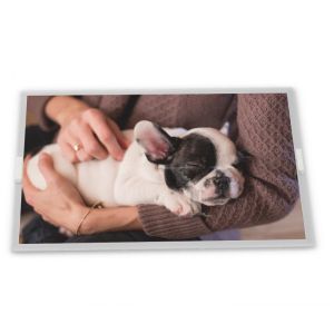 China 8 inch a-Si TFT-LCD B080EAN04.2 CELL quality suppliers rectangular screen lcd display module in stock elevator display factory