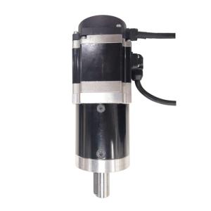 China 36 Volt 200 Watt 3000RPM Small DC Servo Motor Swing Barrier Gate Railway Station use on sale
