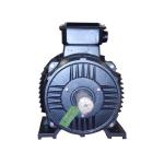5KW 220V Permanent Magnet Alternator / 3 Phase Synchronous Generator