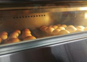 China 12kw Gas Bakery Deck Oven Electric Steam Stone Double Deck Four Trays factory